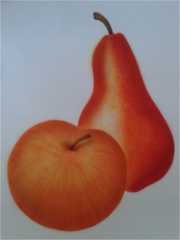 Airbrush-Arbeit, Apfel-Birne